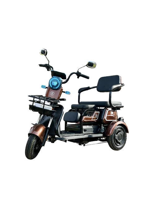 TRICICLO ZIG