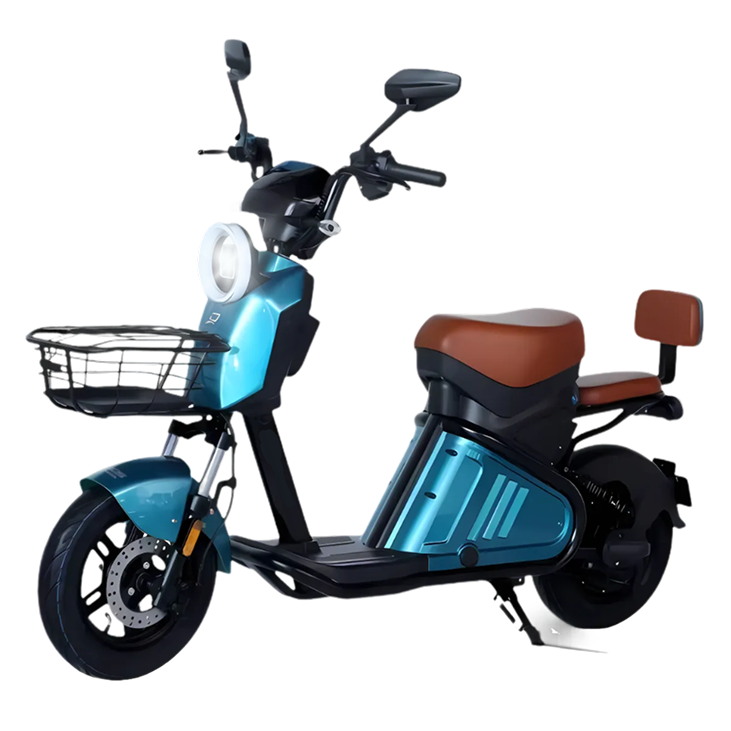 Scooter Pro 800W